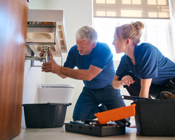 Best Plumbing Inspection Services  in Dewart, PA